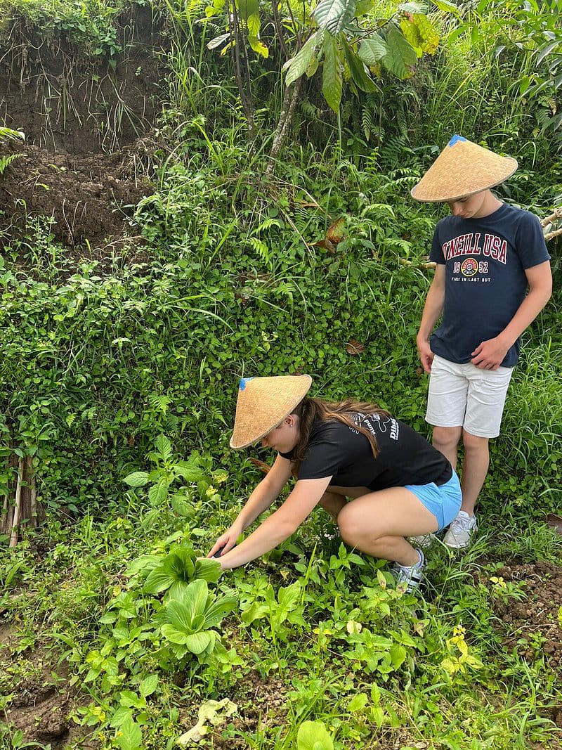 balinese-coocking-class-with-trekking-jatiluwih-kubu-terrace-4